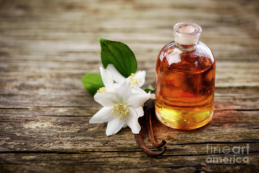 Essential Oil with Jasmine Flower and vanilla Photograph by Jelena Jovanovic
