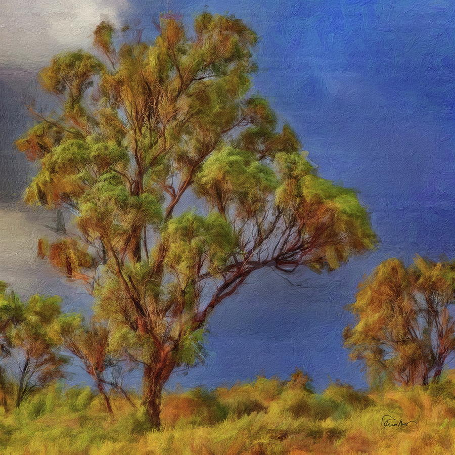 Eucalyptus Trees #1 Digital Art by Russ Harris