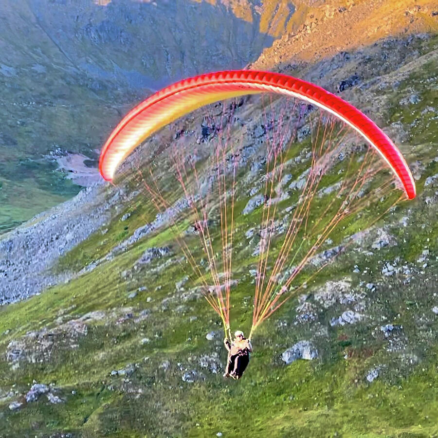Evening Flight #1 Photograph by Harry Banks Evening Flight #1 Photograph by Harry Banks