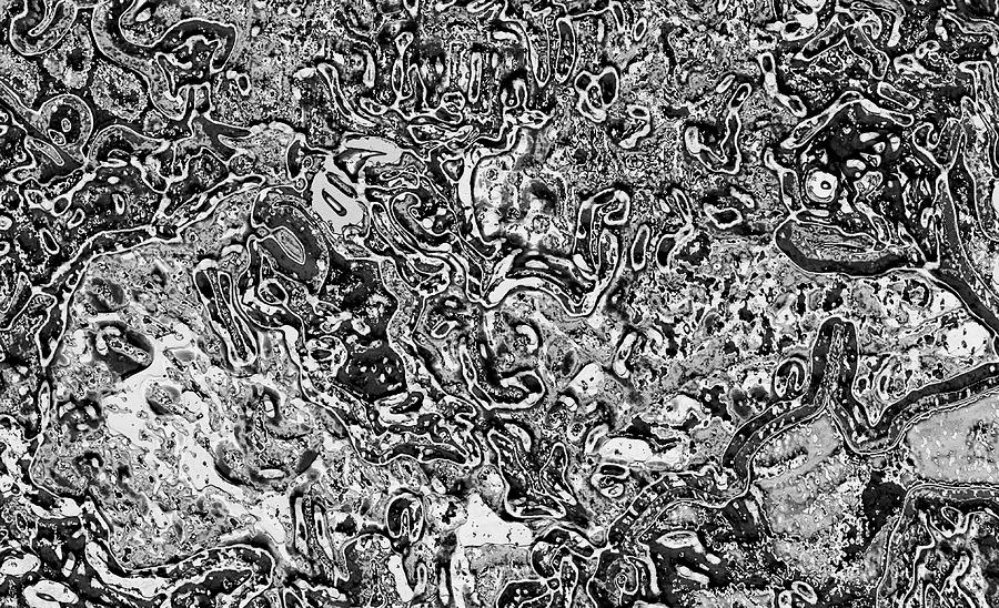 Event Horizon Digital Art by Steve Fields