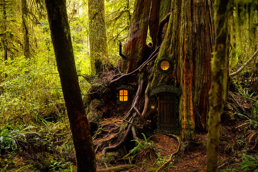 Fairy tree house Photograph by ZargonDesign
