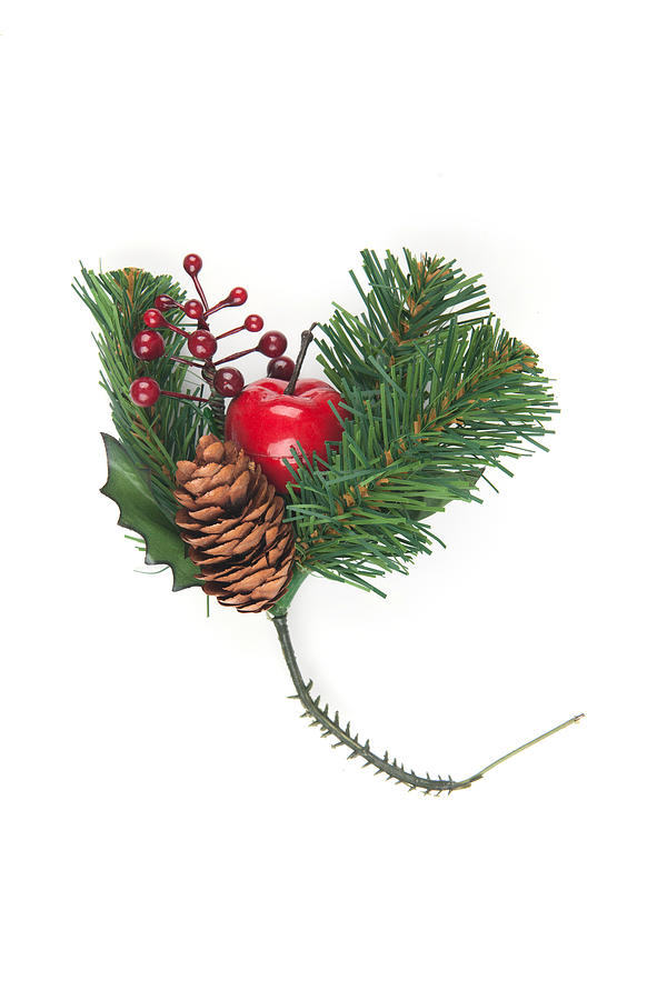 Fake Spruce cones on a spruce branch, Christmas decorations. #1 Photograph by Pixtural