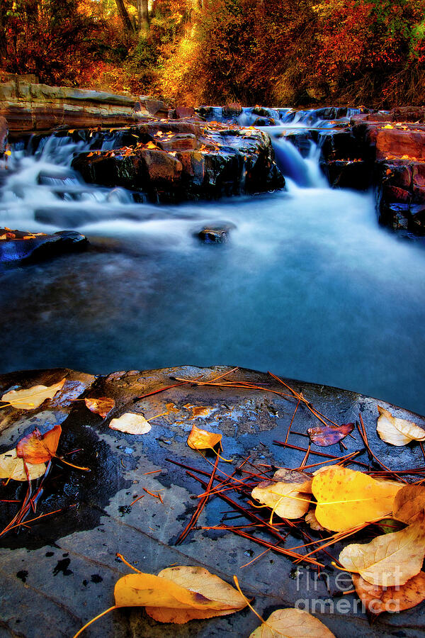 Fall At The Creek #1 Photograph by Thomas Nay Fall At The Creek #1 Photograph by Thomas Nay