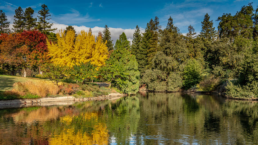 Fall colors at UC Davis Arboretum Photograph by Alessandra RC Fine