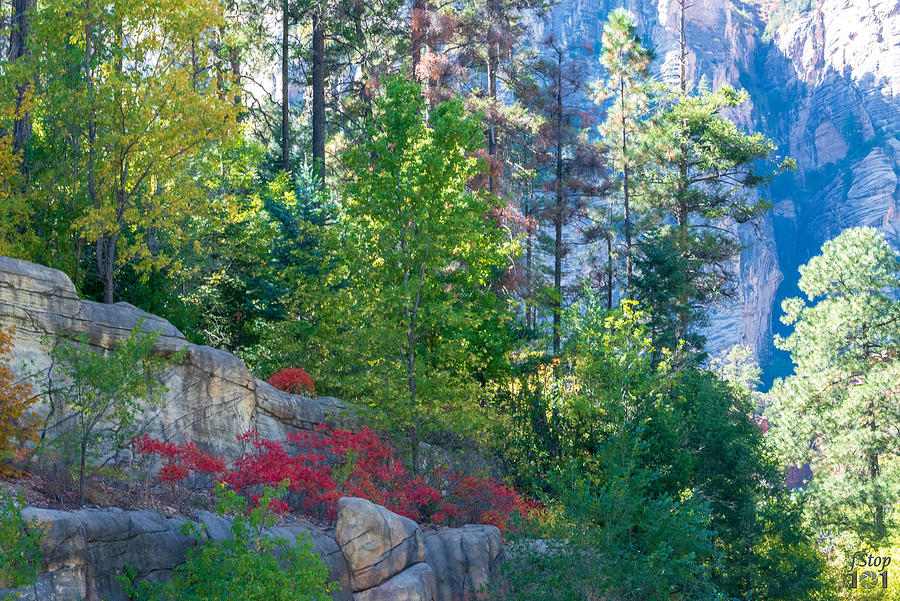 Fall Colors in Sedonas Oak Creek Canyon #2 Photograph by Geno