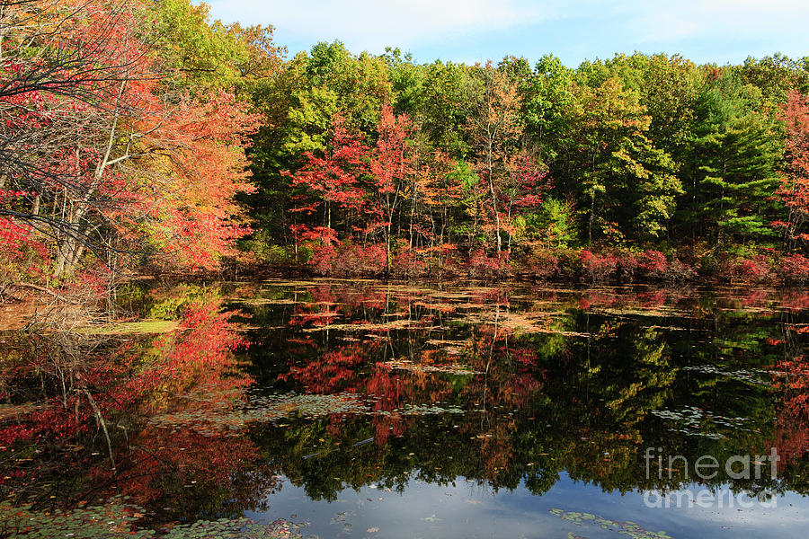 Fall colors Walden Pond #2 Photograph by Bryan Attewell