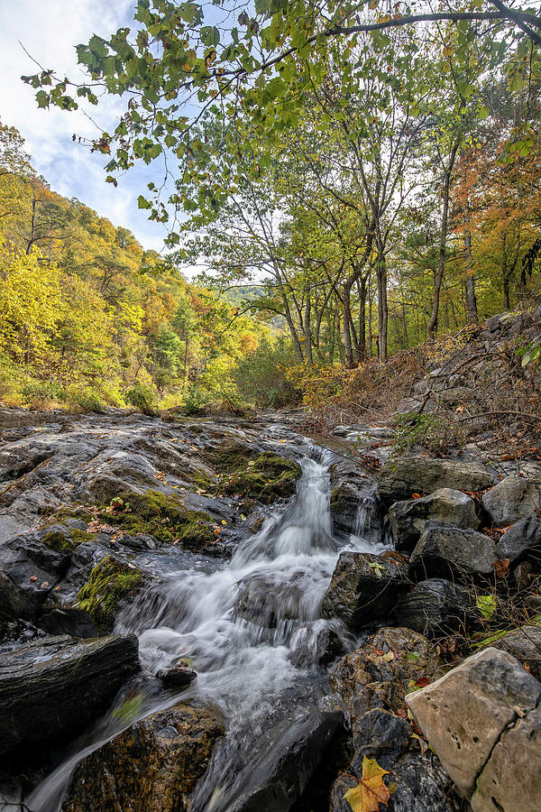 Fall Creek #1 Photograph by Alan Raasch