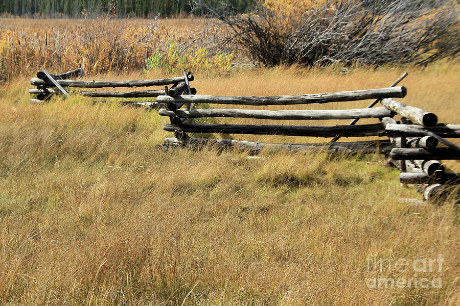 Fall Photograph - Fall Fence Line #1 by Roland Stanke