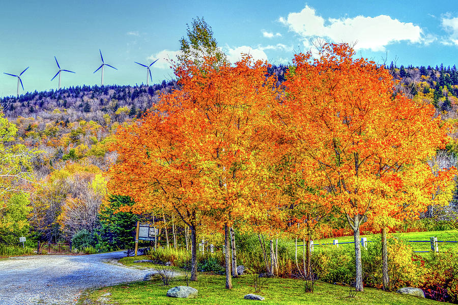 Fall Foliage Massachusetts USA #1 Photograph by Paul James Bannerman