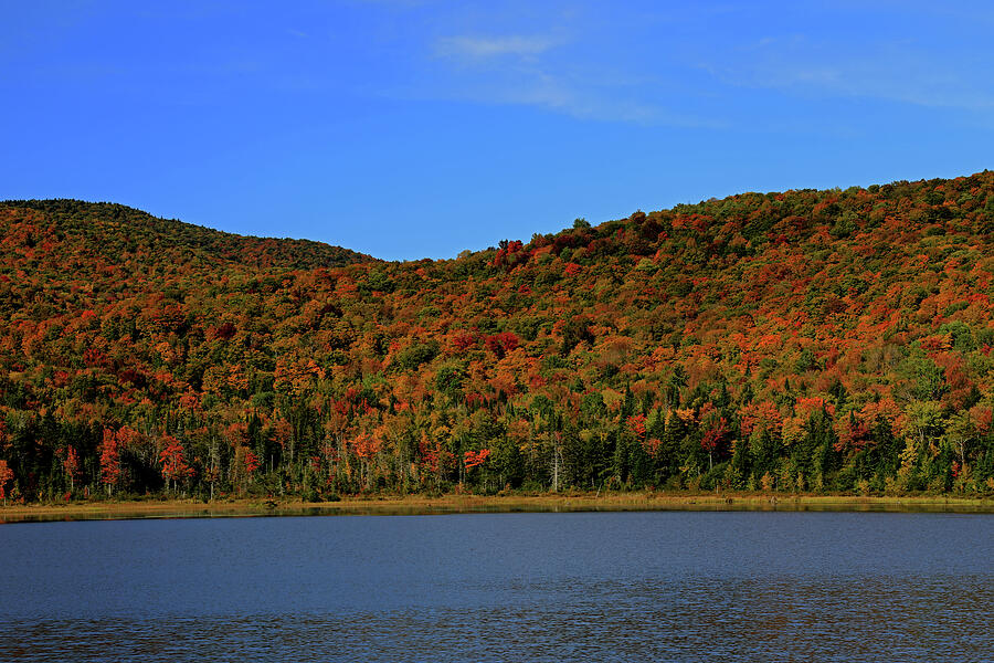 Fall Foliage - Vermont #2 Photograph by Richard Krebs