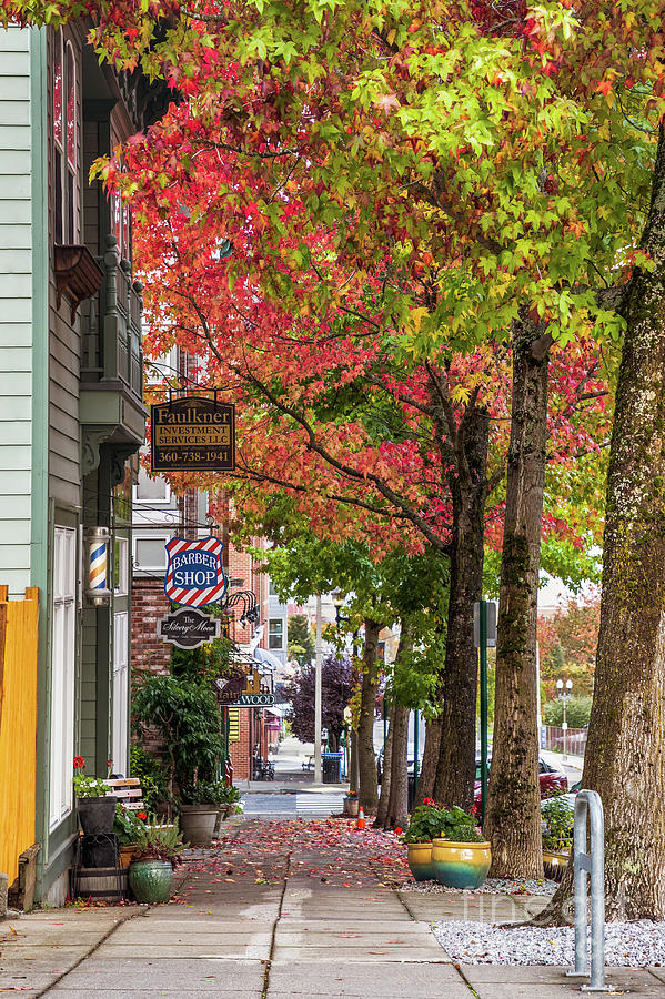 Fall in Fairhaven Photograph by Cindy Shebley | Fine Art America