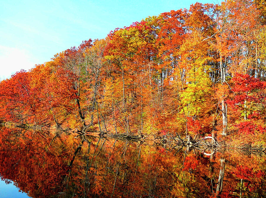 Fall in Grand Ledge #1 Photograph by Linda Scarborough - Fine Art America