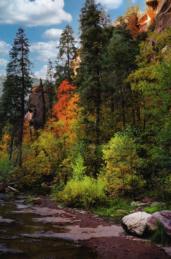 Fall Photograph - Fall In The Canyon #1 by Saija Lehtonen
