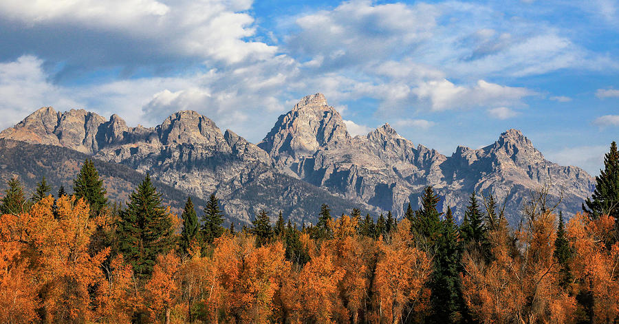 Fall Landscape Grand Teton National Park Photograph by Dan Sproul ...