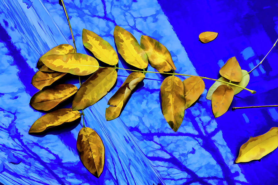 Fall Leaves on Car Hood #1 Photograph by Robert Ullmann