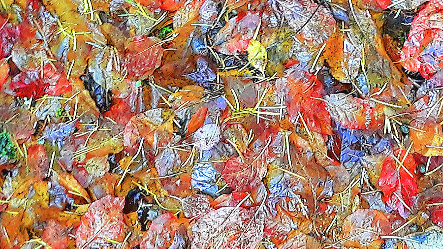 Fall Leaves On The Grass #1 Digital Art by Tom Janca