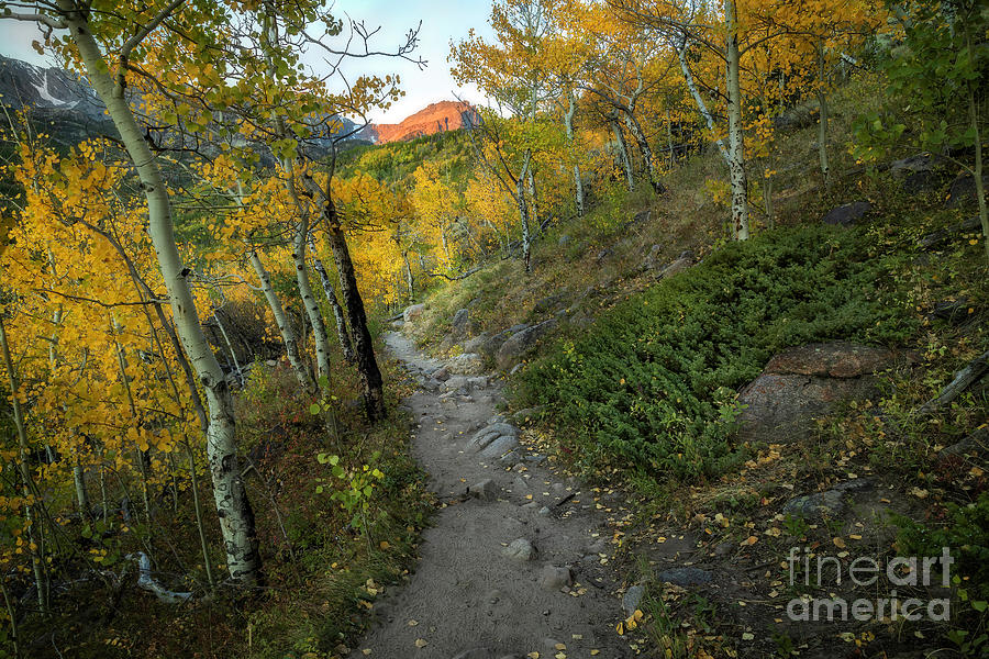 Fall Morning in Rocky Mountain national Park #1 Photograph by Ronda Kimbrow