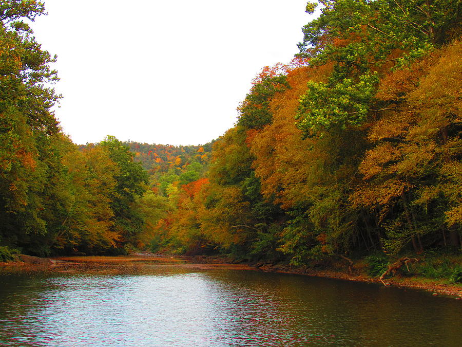 Fall on the creek Photograph by Missy Gray - Fine Art America