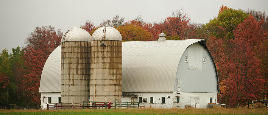 Fall on the Farm #1 Photograph by Paul Freidlund