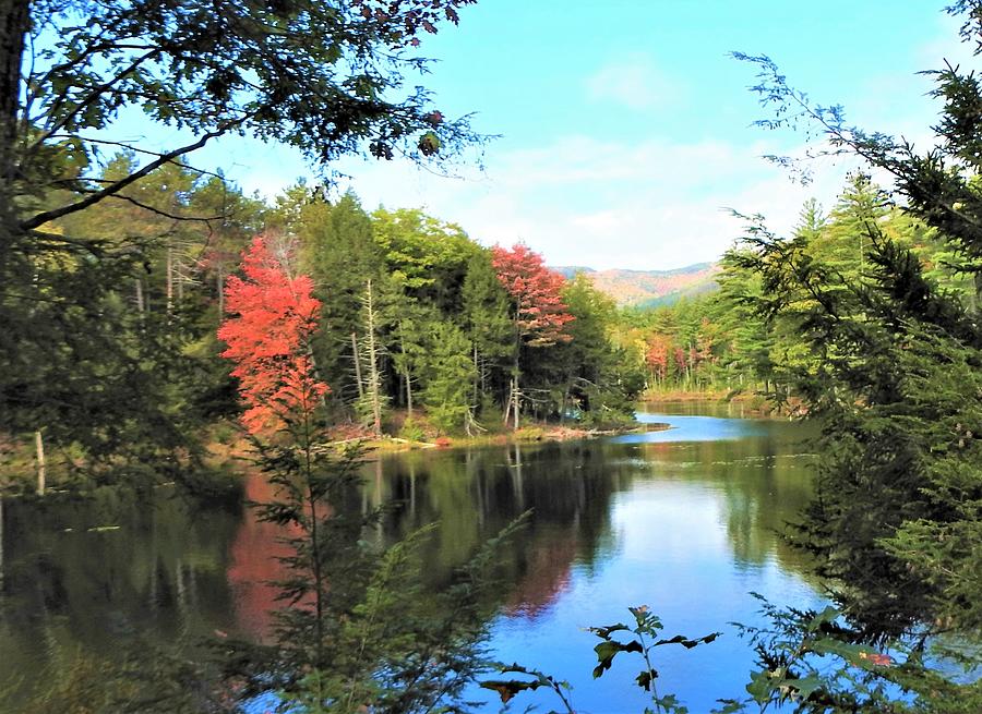 Fall Reflections #1 Photograph by Elaine Franklin