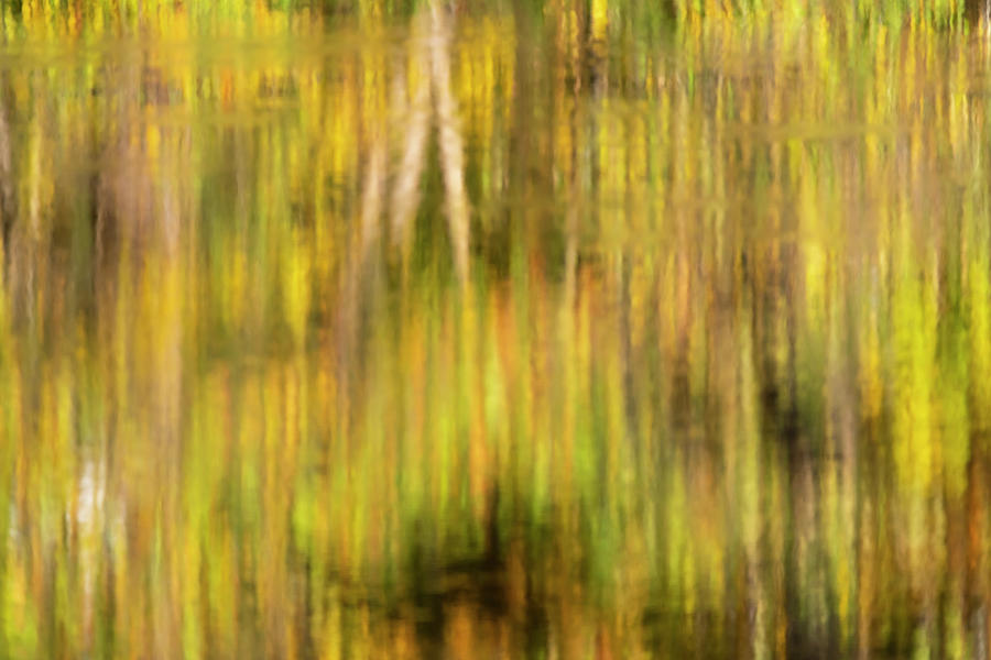 Fall reflections in the water #1 Photograph by Dan Friend