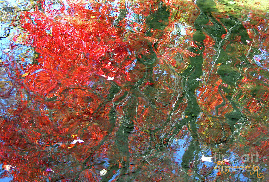 Fall Reflections Photograph by Mariarosa Rockefeller