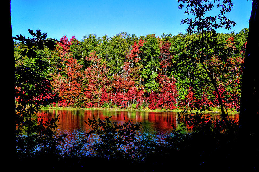 Fall scenes on lake reflections #1 Photograph by Dan Friend