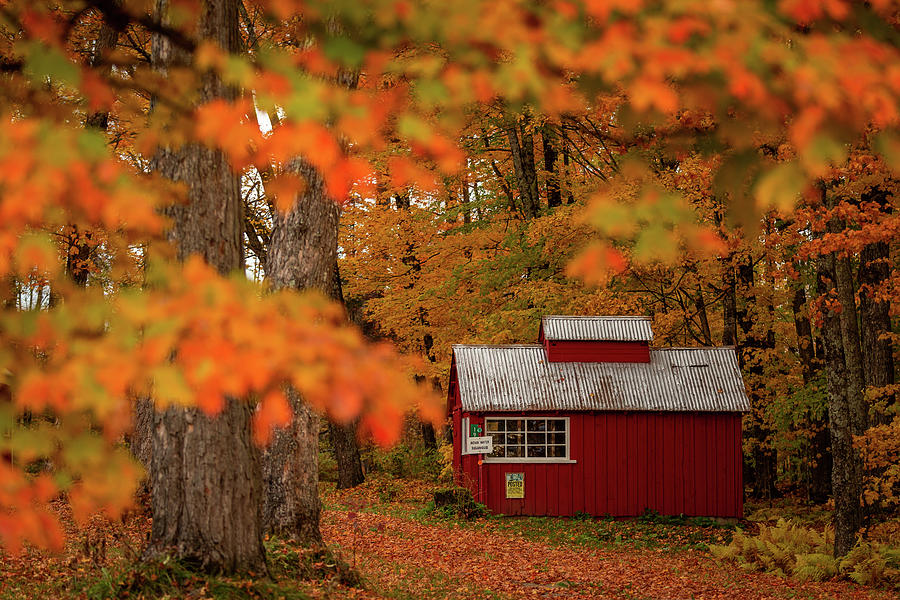 Fall Sugarhouse #1 Photograph by Tim Kirchoff