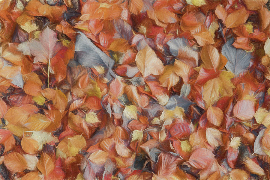 Fallen Leaves 2 #1 Photograph by Roy Pedersen