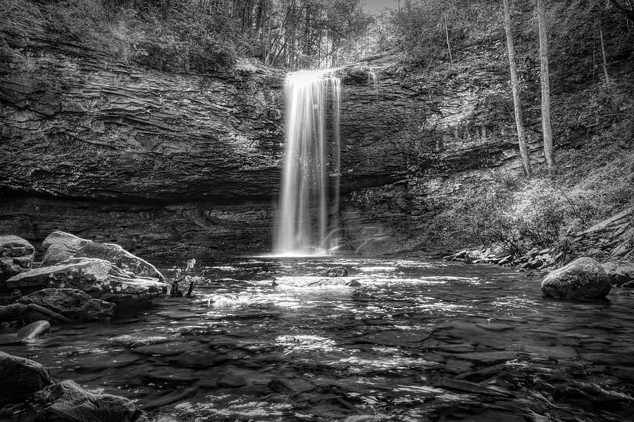 Falling into Autumn Pools in Black and White Photograph by Debra and Dave Vanderlaan
