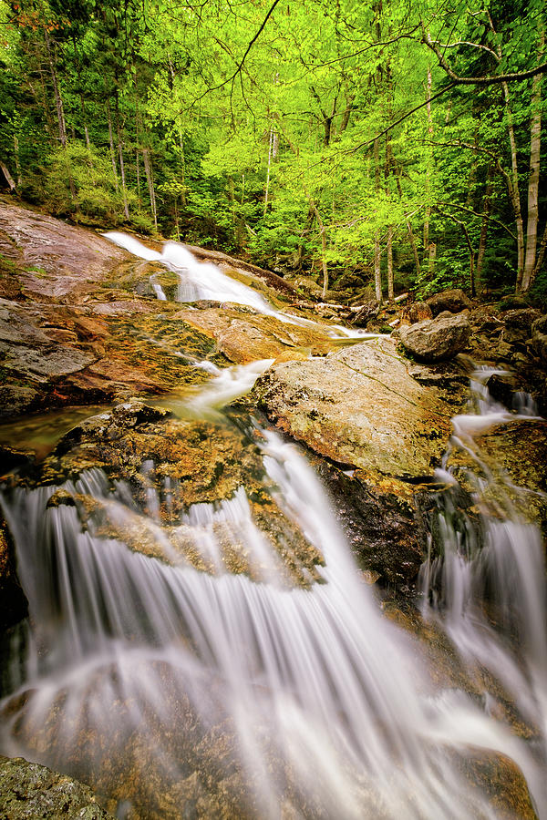 Falls In The Forest  #1 Photograph by Jeff Sinon