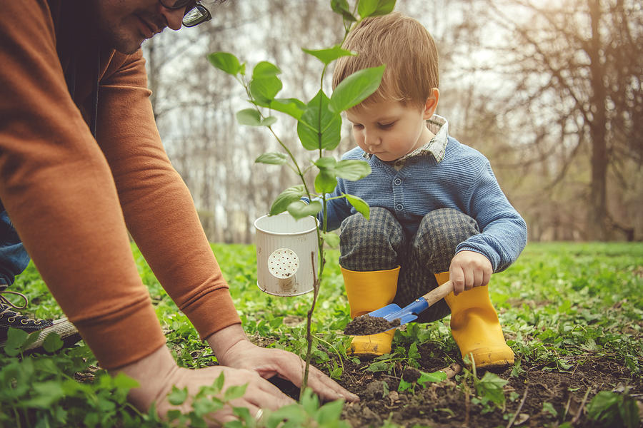 Family planting tree on Arbor day in springtime #1 Photograph by ArtMarie