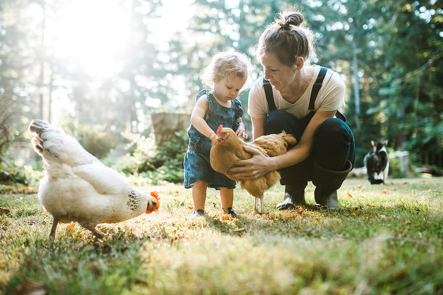 Family With Chickens at Small Home Farm #1 Photograph by RyanJLane