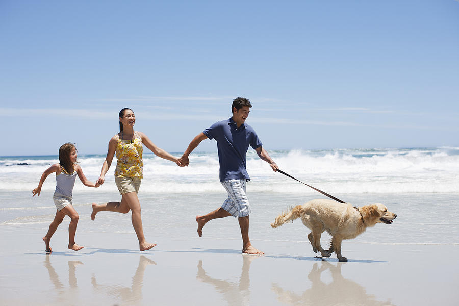 Family with dog running on beach #1 Photograph by Tom Merton