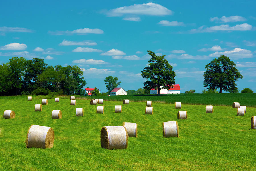 Farmhayfield With Barn In Backgroundeastern Ohio Photograph by