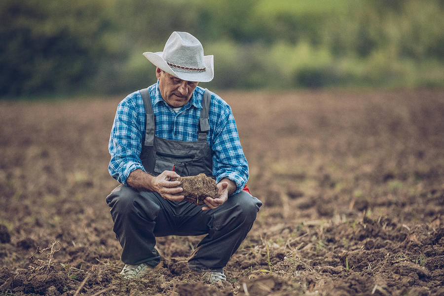 Farmer checking the soil on his field #1 Photograph by South_agency