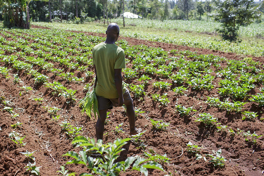 Farmer in Kenya #1 Photograph by Thomas Imo