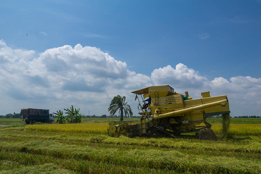 Farmer uses machine to harvest rice on paddy field in Sabak Bernam on July, 2017. Sabak Bernam is one of the major rice supplier in Malaysia. #1 Photograph by Shaifulzamri