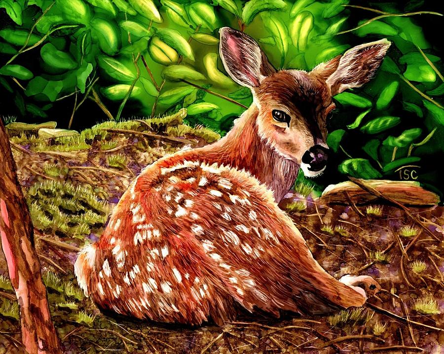 Fawn #1 Painting by Tammy Crawford
