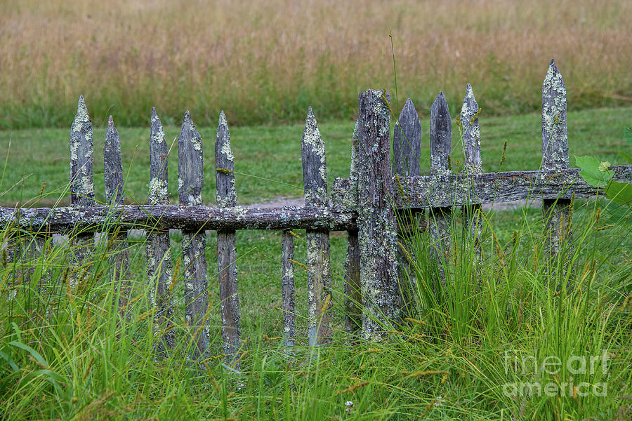 Fence Line Photograph