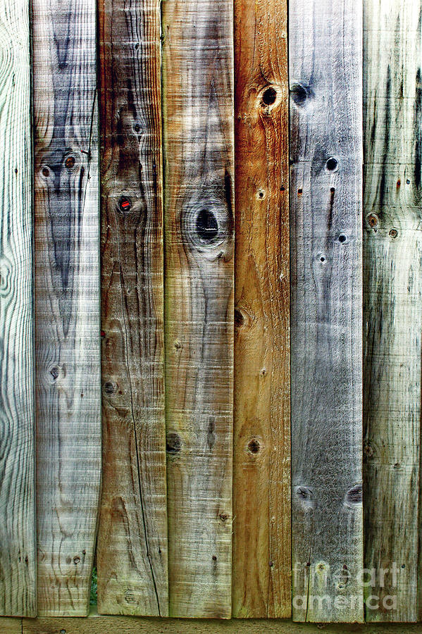 Fence panels close up #1 Photograph by Tom Gowanlock