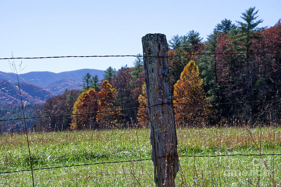 Fence Post #1 Photograph by Phil Perkins