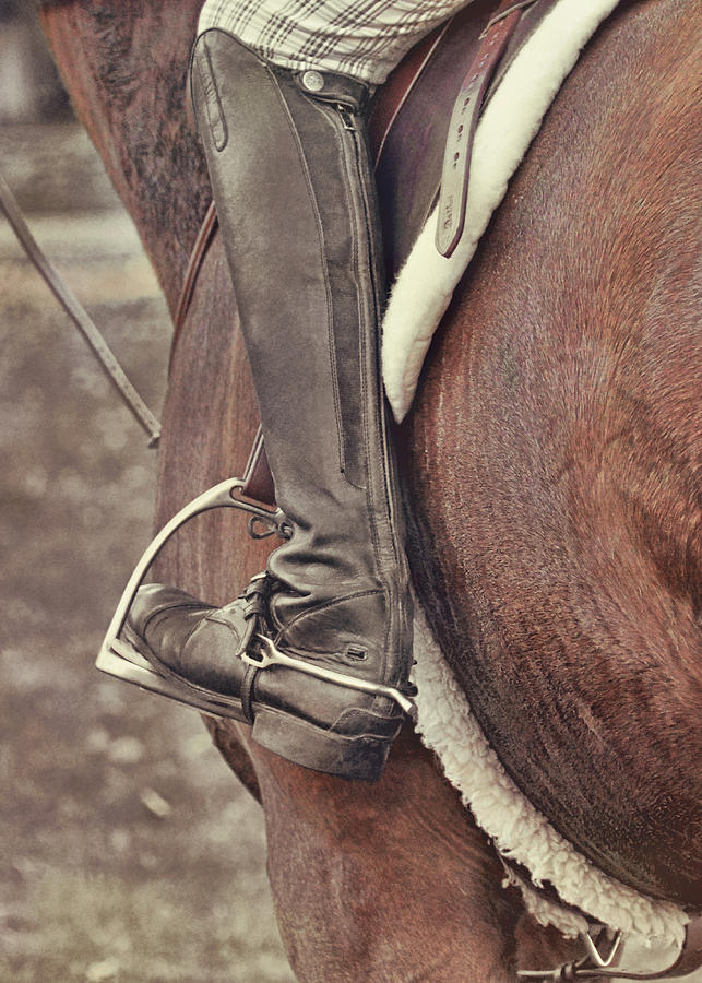 Horse Photograph - Field Boot #1 by Jamart Photography