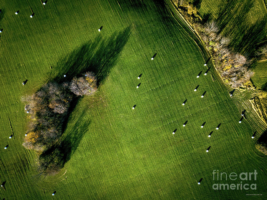 Aerial view of a field in Addison Vermont Photograph by Eric Killorin Aerial view of a field in Addison Vermont Photograph by Eric Killorin
