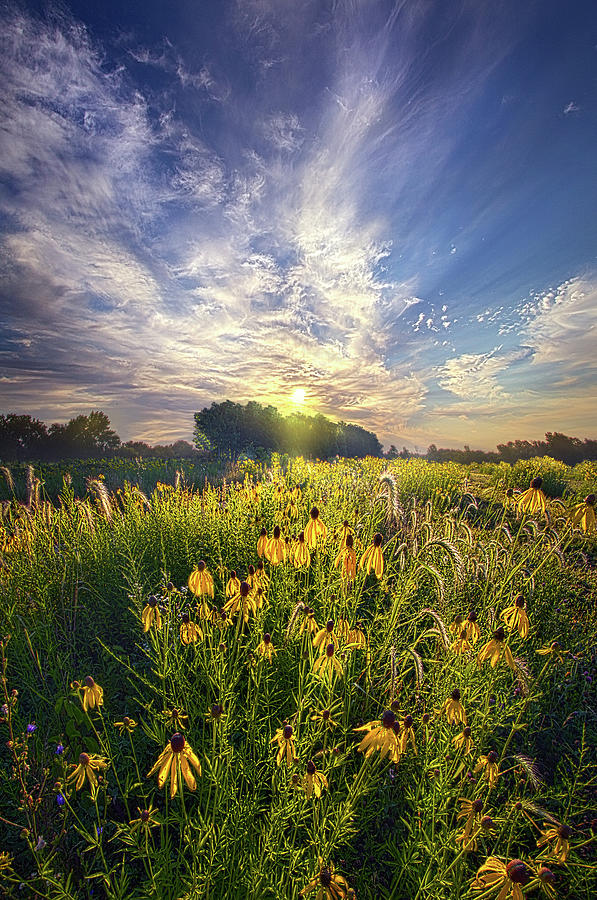 Field of Dreams #1 Photograph by Phil Koch
