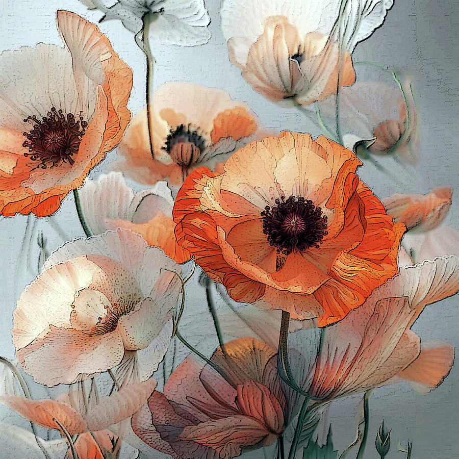 Field poppies Art Digital Art by Loredana Gallo Migliorini