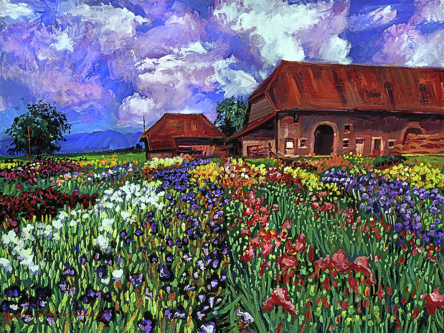 Fields Of Iris Painting by David Lloyd Glover