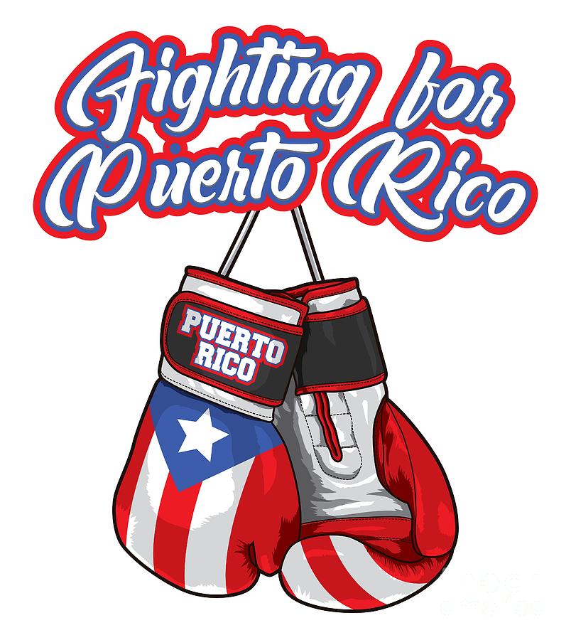 Boxing Gloves With Puerto Rican Flag Buy Clothes Shoes Online