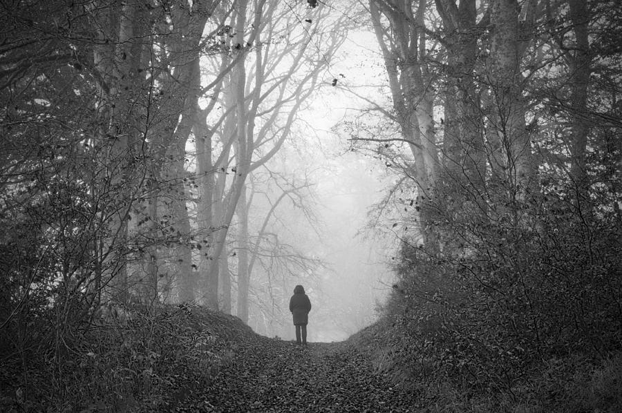 Figure in misty woodland #1 Photograph by Northlightimages
