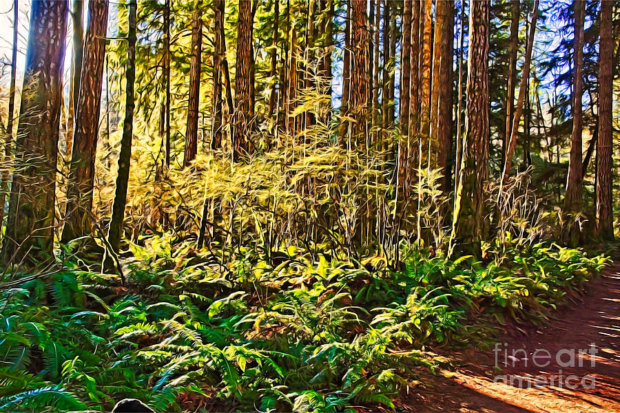 Filtered Light In Forest #1 Photograph by Chuck Burdick